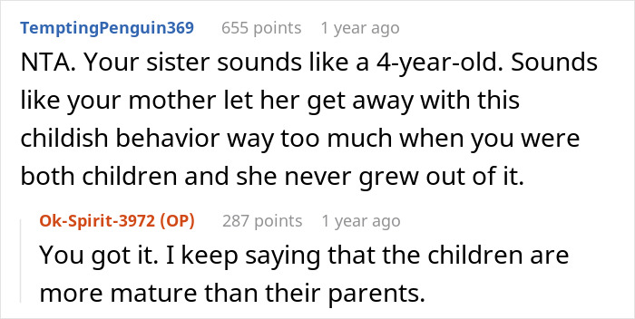 Reddit comment screenshot about a heated blanket dispute; top comment calls sister childish, OP agrees Reddit comment screenshot about a heated blanket dispute; top comment calls sister childish, OP agrees
