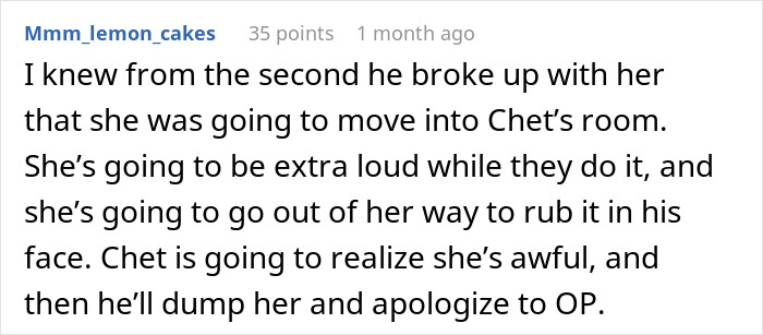 Text comment discussing suspicions of cheating between a girlfriend and roommate, revealing a smart way to expose them.