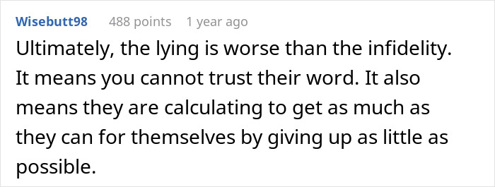 Screenshot of a Reddit comment discussing trust and lying related to a wife&rsquo;s cheating and infidelity situation.