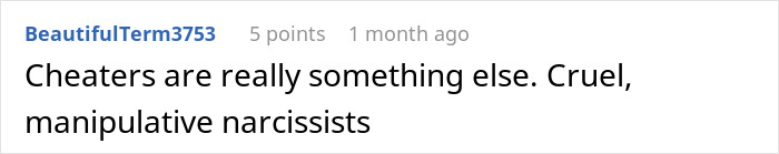 Screenshot of an online comment describing cheaters as cruel, manipulative narcissists in a discussion about cheating and relationships.
