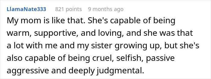 Comment text about a man feeling torn between his husband and mother-in-law after secretly helping her.