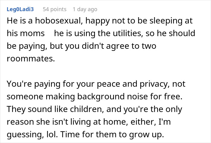 Comment discussing roommate and boyfriend vacation drama involving shared utilities and privacy concerns at home.