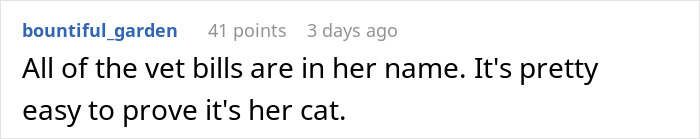 Comment about vet bills in text format, related to lost cat going from street survivor to family royalty and owner dispute.