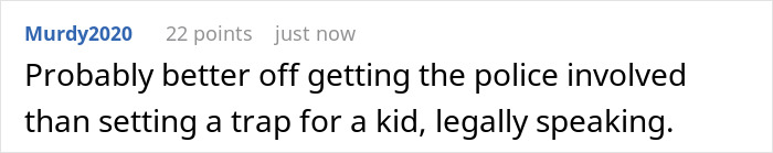 Comment discussing legal concerns about setting a trap to protect privacy from a son climbing fence complaints. Comment discussing legal concerns about setting a trap to protect privacy from a son climbing fence complaints.