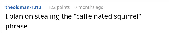 Screenshot of a Reddit comment about stealing the phrase caffeinated squirrel in a casual online discussion.