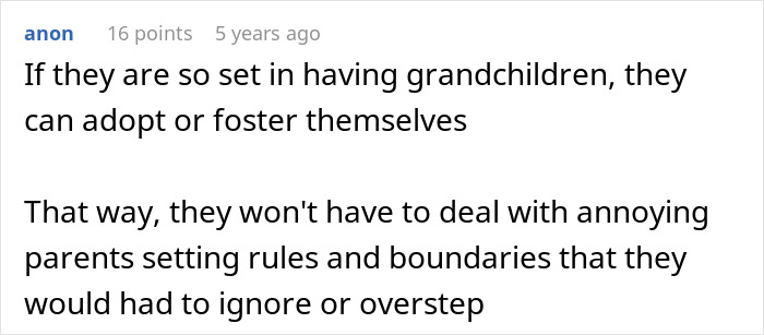 Screenshot of an online comment discussing parents trying to guilt-trip a couple into having kids and family tensions.