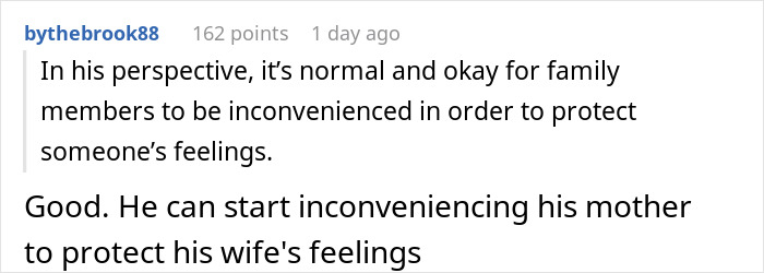 Screenshot of a Reddit comment discussing a daughter-in-law tired of an overbearing mother-in-law making plans without notice.