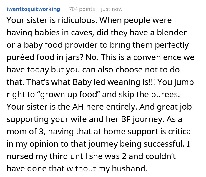 Childless Sis Keeps Lecturing Man About Baby Food, Livid When He &ldquo;Mansplains&rdquo; Breastfeeding To Her