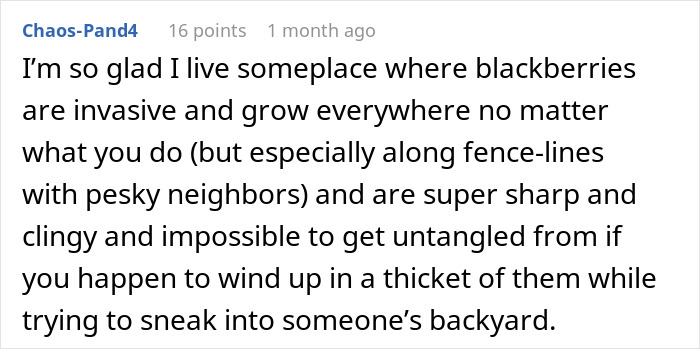 Invasive blackberries grow along fence lines, creating a barrier against nightmare neighbors sneaking into family&rsquo;s backyard.