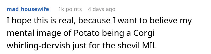 Comment on a forum post describing a humorous MIL runs to the priest story about son-in-law&rsquo;s revenge on her works hilariously well.