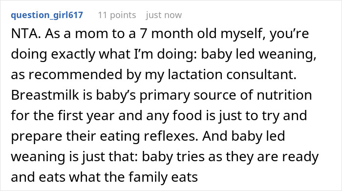 Childless Sis Keeps Lecturing Man About Baby Food, Livid When He &ldquo;Mansplains&rdquo; Breastfeeding To Her