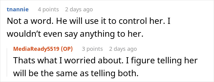 Screenshot of an online discussion about a woman worried about her sister becoming a tradwife and starting a secret fund.