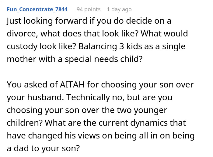 Screenshot of a Reddit comment discussing custody challenges and family dynamics with a disabled son and single mother.