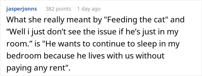 Comment explaining hidden meaning about a roommate boyfriend vacation drama living rent-free in the bedroom.