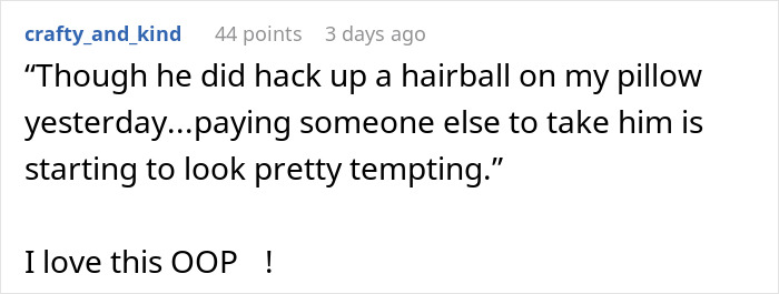 Screenshot of a Reddit comment expressing frustration about a cat&rsquo;s behavior and joking about rehoming the pet.