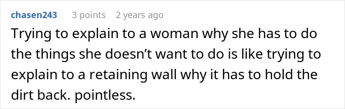 Reddit user explaining frustrations of not doing enough as a stay-at-home mom using a retaining wall analogy.