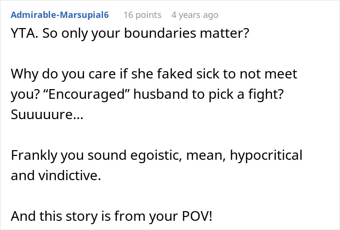 Comment criticizing boundaries and lying, highlighting conflict in ruining family relationship lying MIL discussion.