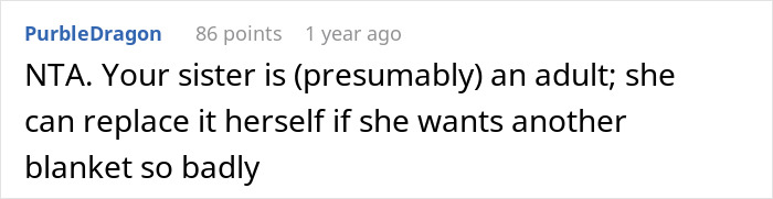 Reddit comment screenshot about a heated blanket and sister replacing it, username PurbleDragon visible Reddit comment screenshot about a heated blanket and sister replacing it, username PurbleDragon visible
