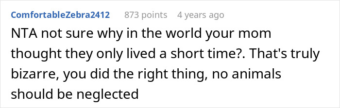 Screenshot of a Reddit comment discussing a teen&rsquo;s effort to give gifted chinchillas a proper life despite mom&rsquo;s disapproval.