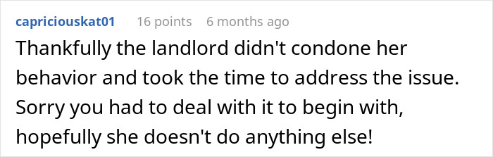 Screenshot of a Reddit comment discussing a landlord addressing an entitled sister harassing the brother&rsquo;s tenant situation.