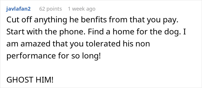 Screenshot of a Reddit comment advising to find a home for the dog and cut off contact with ex who isn’t helping. Screenshot of a Reddit comment advising to find a home for the dog and cut off contact with ex who isn’t helping.