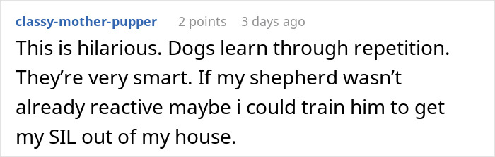 Comment about dogs learning through repetition, mentioning son-in-law and MIL humor in a casual online discussion.