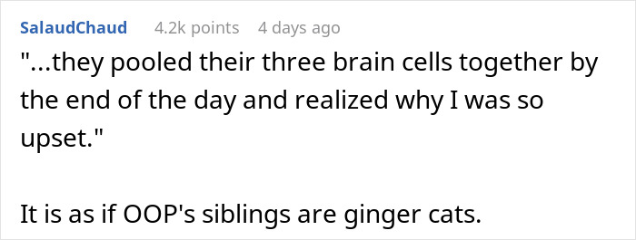 Screenshot of a Reddit comment discussing irate sis taking mom out to dinner while bros are too broke to pitch in for gift.