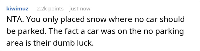 Comment discussing snowing on a neighbour's illegally parked car and consequences of parking in no parking areas. Comment discussing snowing on a neighbour's illegally parked car and consequences of parking in no parking areas.