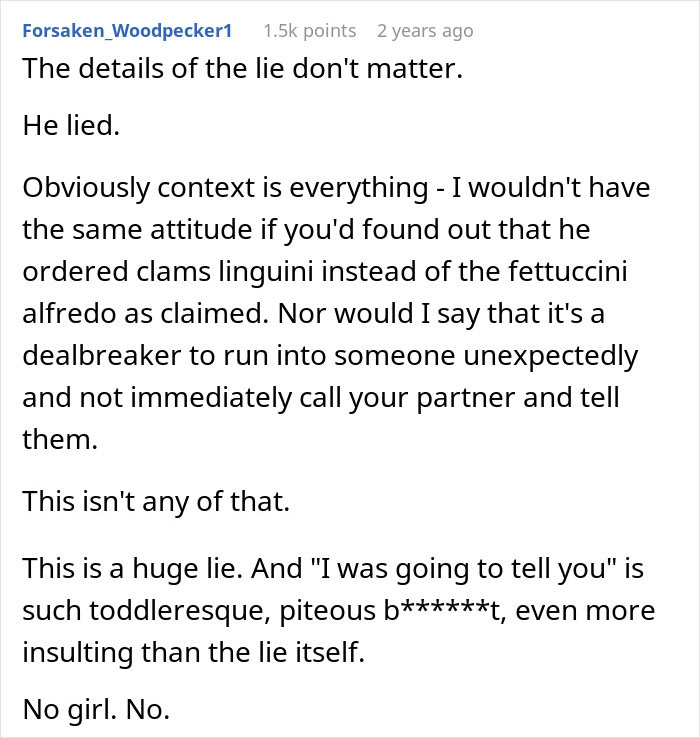 Alt text: Online comment discussing a lying boyfriend who went on a trip with a female friend and the impact of the lie.