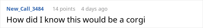 Comment text on a white background showing a user joking about recognizing a corgi in humorous context.