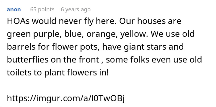 Text post discussing colorful houses and unconventional garden decor in a neighborhood without HOA president power trips.