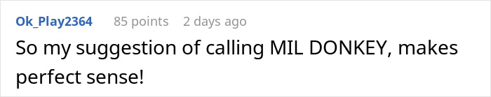 Screenshot of an online comment suggesting to refuse a baby name by calling MIL donkey related to mil-refuse-baby-name topic
