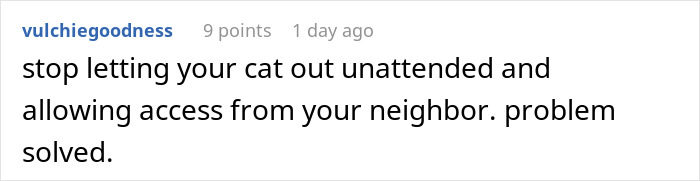 Woman Ignores Warnings About Not Feeding The Neighbors Cat, Learns Her Lesson The Hard Way