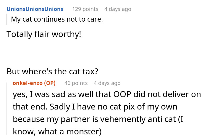 Screenshot of an online discussion about a lost cat&rsquo;s journey from street survivor to family royalty.