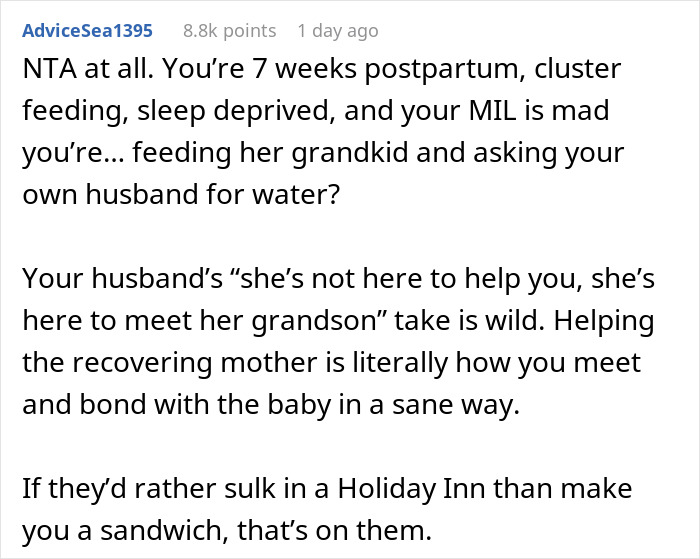 Text excerpt discussing a new mom postpartum struggles and frustrations with husband and inlaws not helping with baby care.