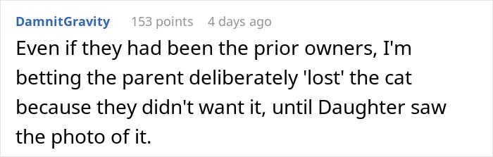 Comment discussing a lost cat&rsquo;s survival and disputed ownership involving a scammy prior owner demanding the cat back.