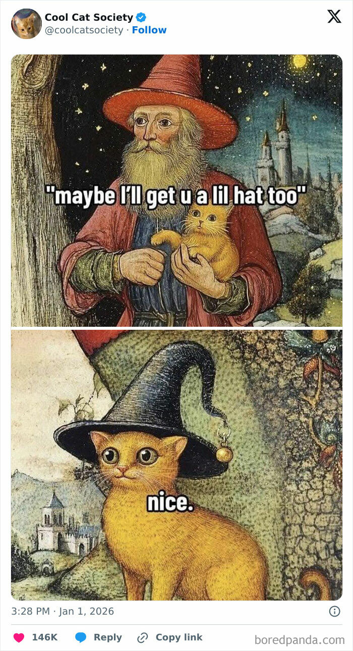 Medieval-style funny cat meme showing a wizard offering a hat and a cat wearing a pointed hat saying nice.