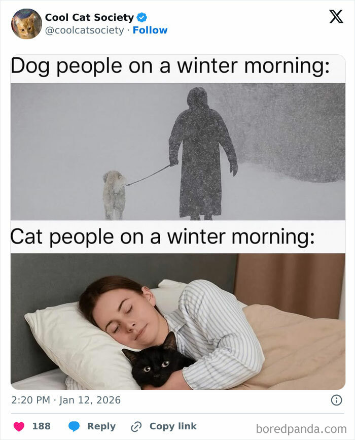 Comparison of dog people walking in snow and cat people cozy in bed with cat, highlighting funny memes about awesome cats.