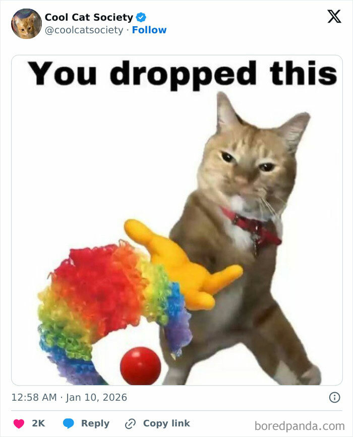 Funny cat meme featuring a cat with a clown wig and hand gesture, capturing how awesome cats are in humor.