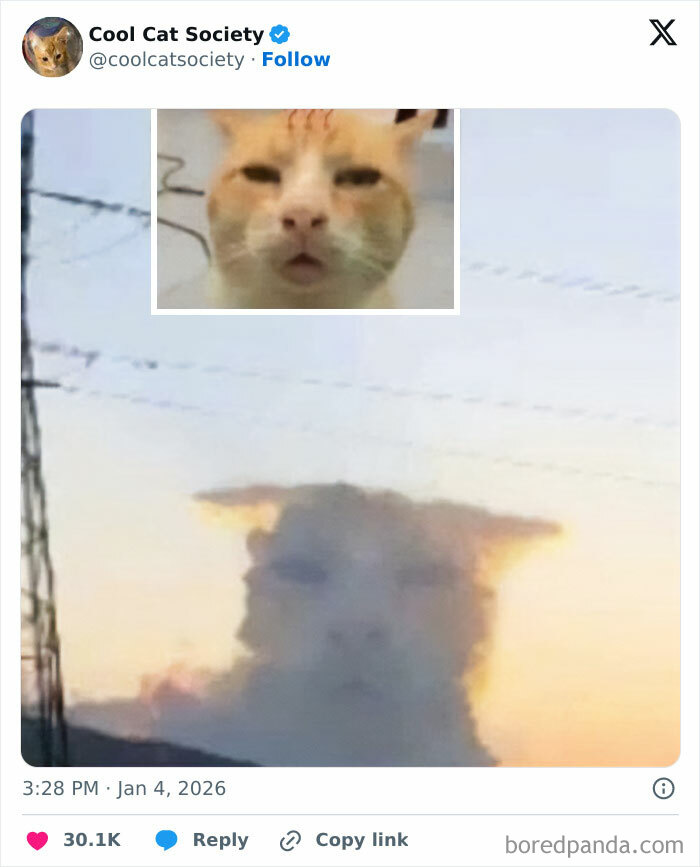Cat face meme cloud at sunset, humorously illustrating how awesome cats are in a funny and creative way.
