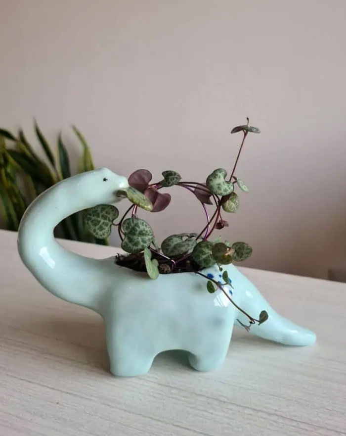 Maceta en forma de dinosaurio con planta, idea creativa de diseño interior para inspirar la decoración del hogar.