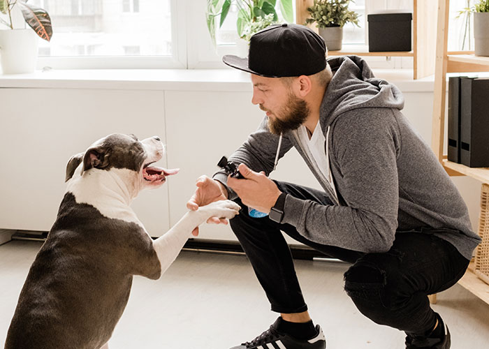 Man in casual clothes and cap playing with his dog indoors, illustrating couples' dumb house rules taken seriously.