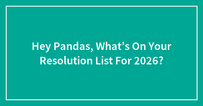 Hey Pandas, What’s On Your Resolution List For 2026? (Closed)