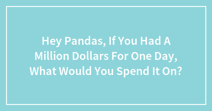 Hey Pandas, If You Had A Million Dollars For One Day, What Would You Spend It On?