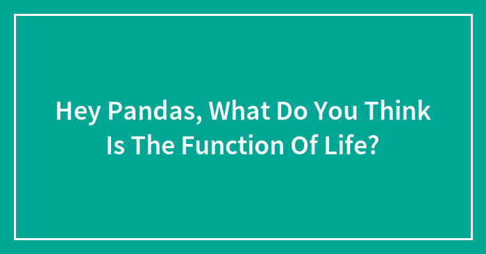 Hey Pandas, What Do You Think Is The Function Of Life?
