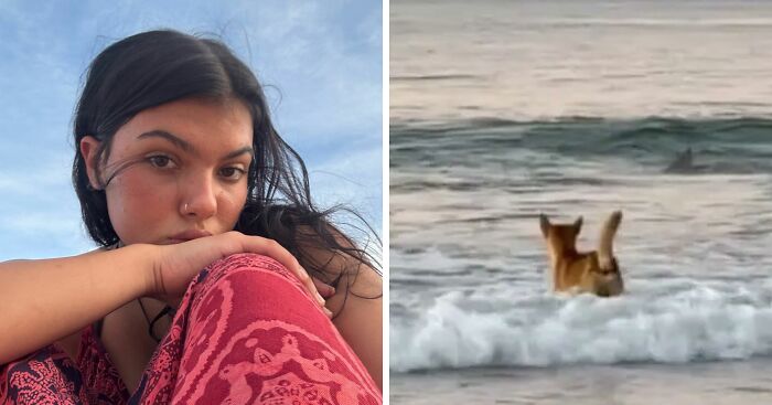 Autopsy Results Uncover Startling Clues In Case Of Canadian Teen Found Among Dingoes