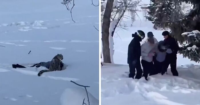 Viral Video Shows Skier Viciously Attacked By Snow Leopard After Trying To Take A Selfie With It