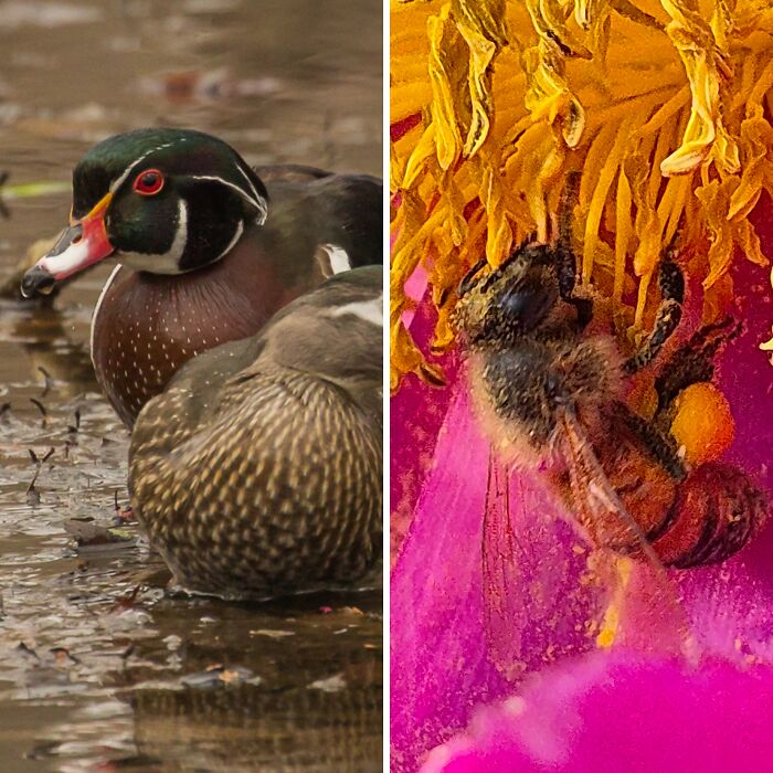 Through Their Eyes: The Rockefeller State Park Preserve Staff Photo Exhibit