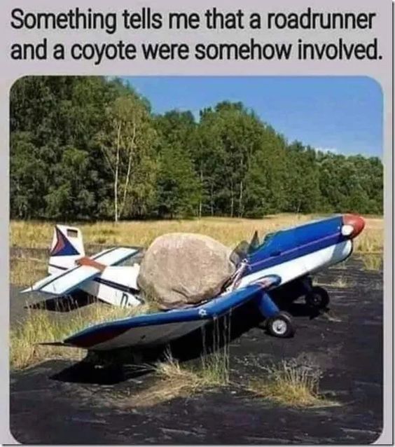 coyote-and-roadrunner-boulder-on-plane-69664b71a2866.jpg