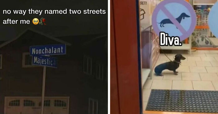 66 Memes That Feel Like They Came From A Completely Different Internet